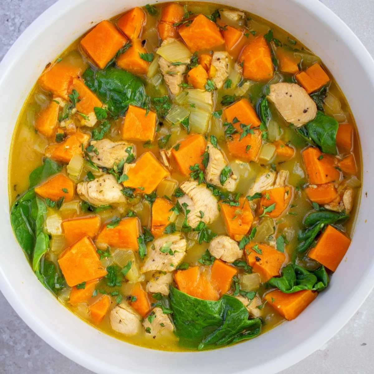 Warm bowl of Crisp Air Paleo Soup with tender chicken and colorful vegetables, topped with parsley.